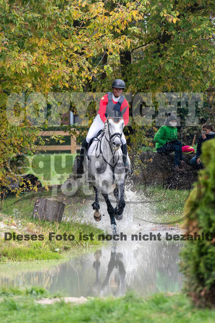 Goldene Schärpe 2020 - Pferde