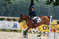 Goldene Schärpe 2021 - Ponys