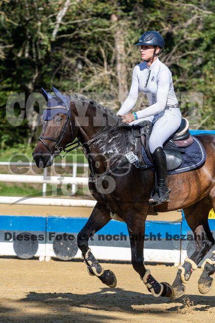 RFV Dinslaken-Hiesfeld (Herbstturnier)