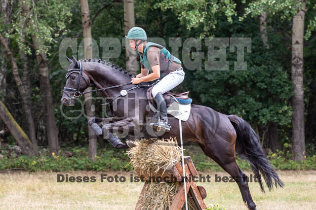 Late-Entry Vielseitigkeit Hamminkeln/Wesel (01.+02.08.2020)