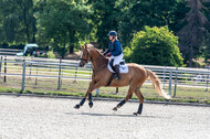 Late-Entry-Vielseitigkeit Langenfeld (11.+13./14.06.2020)