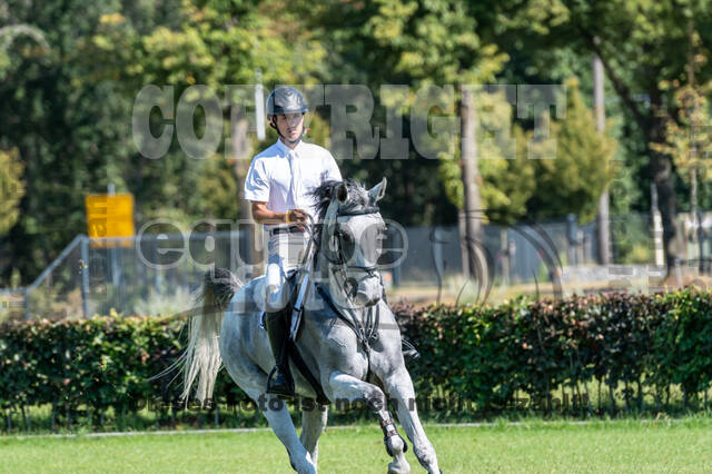 Kronenberg - De Peelbergen (August 2020)