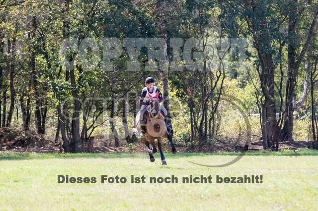 Vielseitigkeitsturnier RSV St. Hubertus Wesel Obrighoven