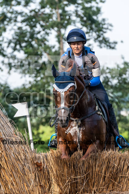 De Peelbergen (August 2020)