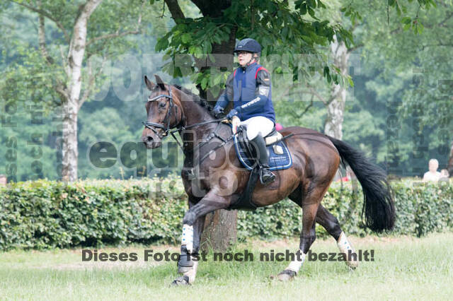 Vielseitigkeitsturnier Bad Honnef