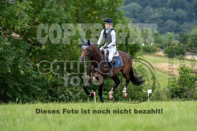 Bonn-Rodderberg Late-Entry-Vielseitigkeit (30.06.2020)