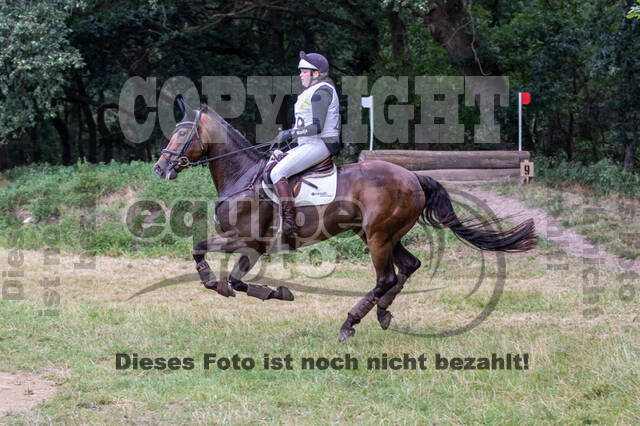 Late-Entry Vielseitigkeit Hamminkeln/Wesel (01.+02.08.2020)