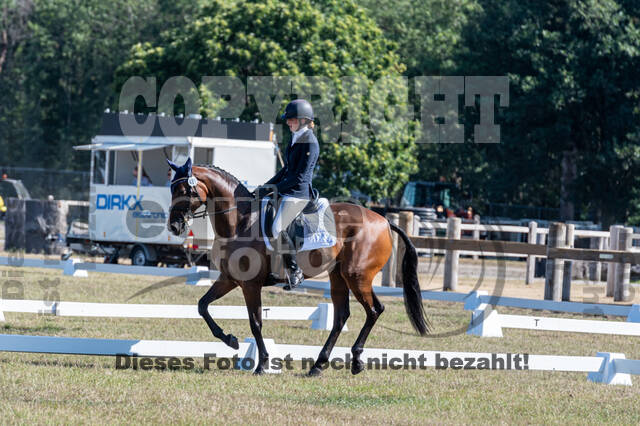 Kronenberg - De Peelbergen (August 2020)