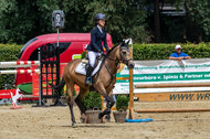 Goldene Schärpe 2021 - Ponys