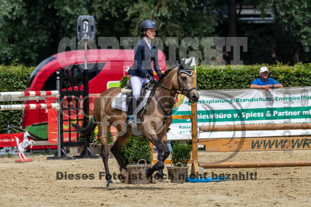 Goldene Schärpe 2021 - Ponys