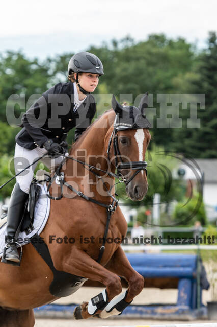 Late-Entry-Vielseitigkeit Langenfeld (06.+07.07.2020)