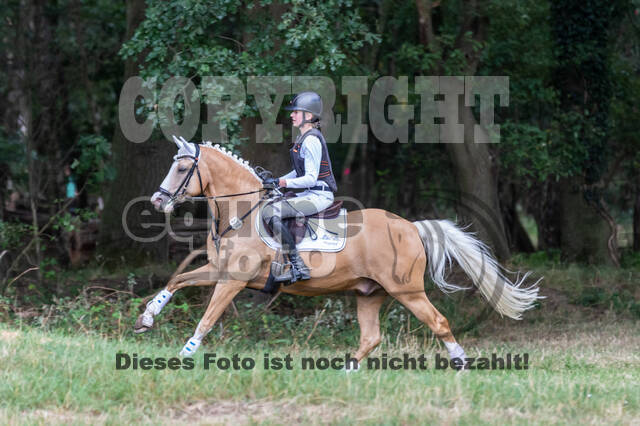 Late-Entry Vielseitigkeit Hamminkeln/Wesel (01.+02.08.2020)