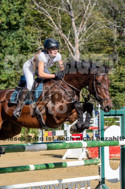 RFV Dinslaken-Hiesfeld (Herbstturnier)