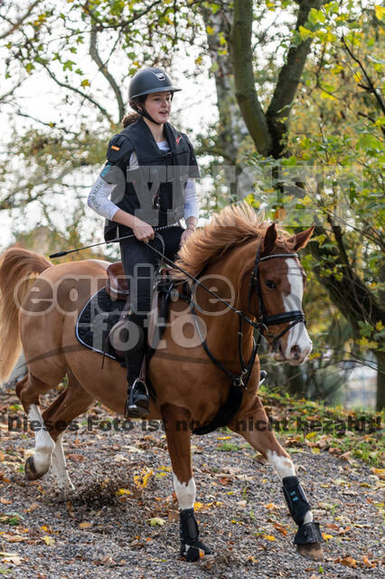 IGV Lehrgang der Sieger der Cups mit Frank Ostholt