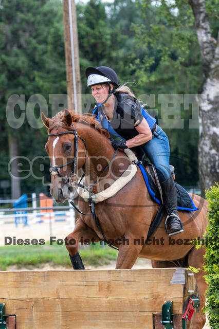 Hunter Geländetraining 10.07.2021 (Sonsbeck)