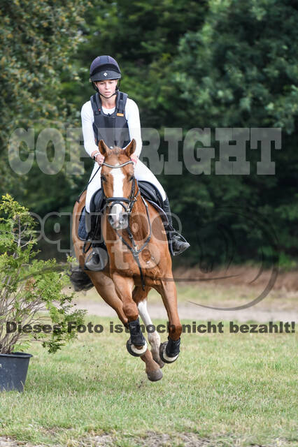 Late-Entry-Vielseitigkeit Langenfeld (11.+13./14.06.2020)