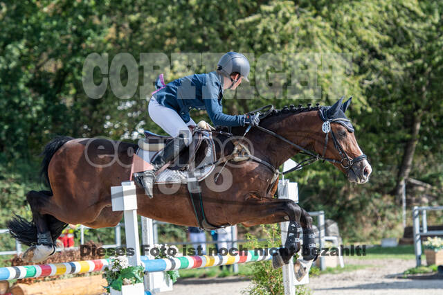 Landesturnier Rheinland, Vielseitigkeit, 22.+23.08.2020