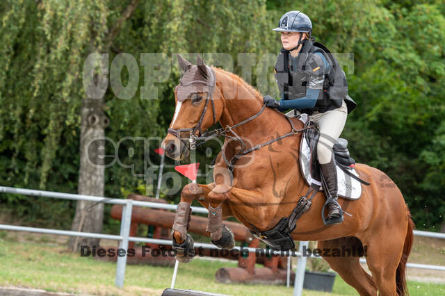 Late-Entry-Vielseitigkeit Langenfeld (11.+13./14.06.2020)