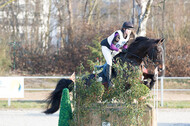 Eventing Langenfeld 2018