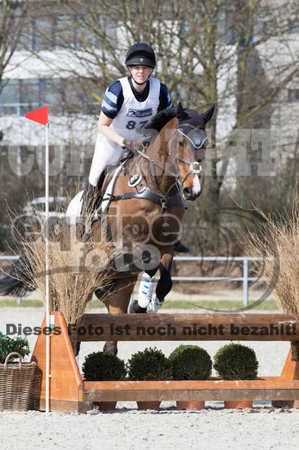 Eventing Langenfeld 2018