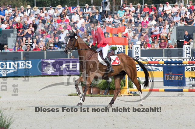 FEI European Championship Eventing 2019