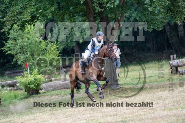 Late-Entry Vielseitigkeit Hamminkeln/Wesel (01.+02.08.2020)