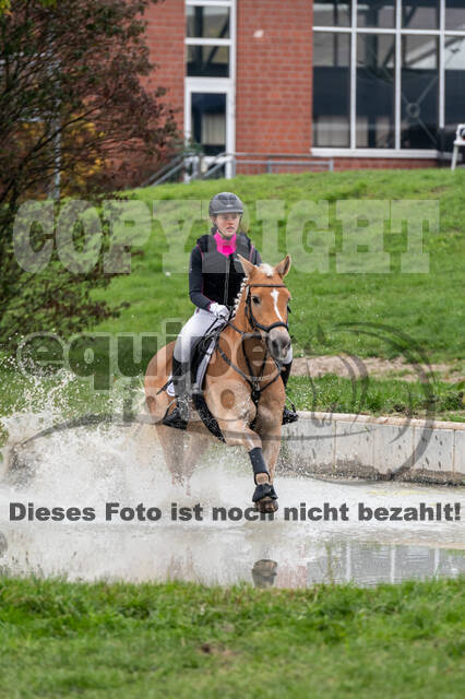 Goldene Schärpe 2020 - Pferde