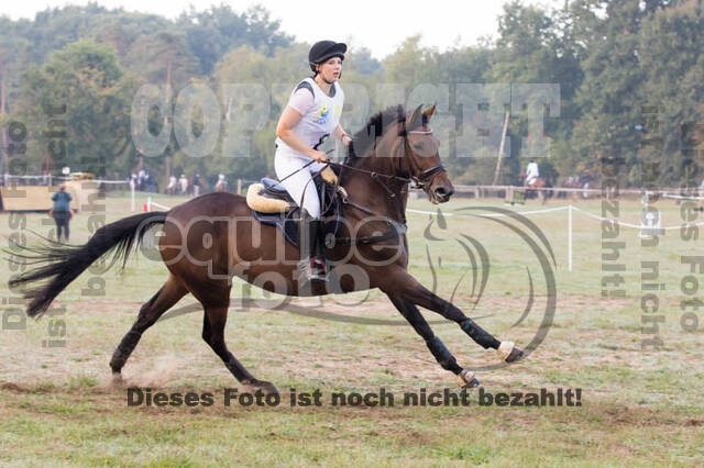 Vielseitigkeitsturnier RSV St. Hubertus Wesel Obrighoven
