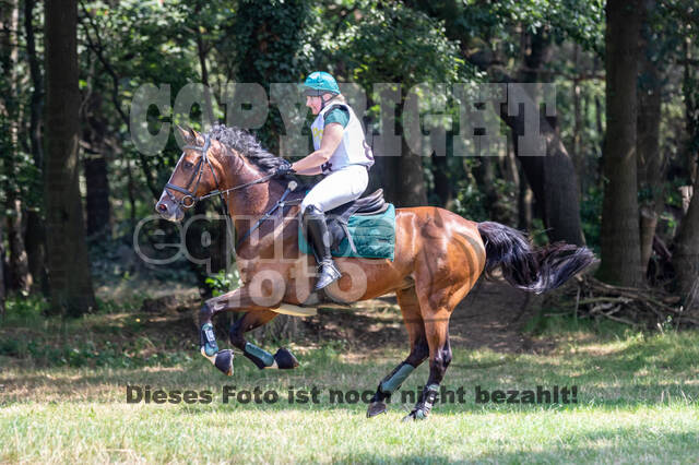 Late-Entry Vielseitigkeit Hamminkeln/Wesel (01.+02.08.2020)