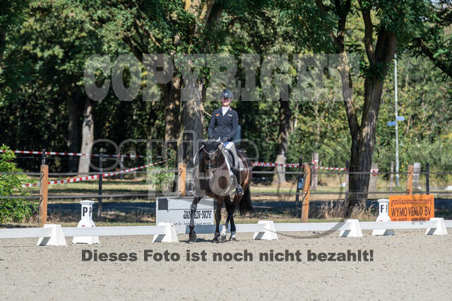 Kronenberg - De Peelbergen (August 2020)