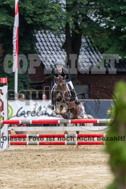 Goldene Schärpe 2021 - Ponys