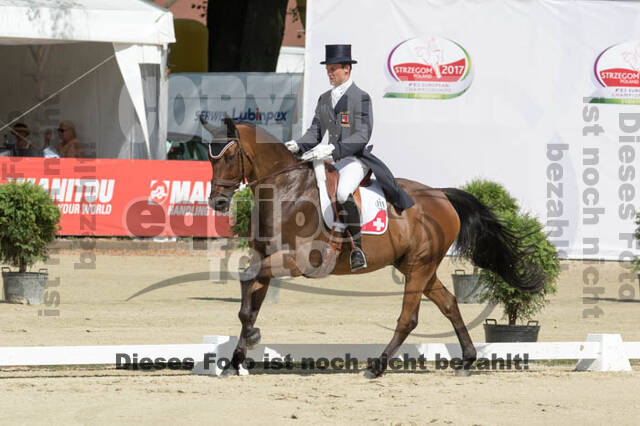 European Championship Eventing 2017
