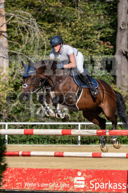 RFV Dinslaken-Hiesfeld (Herbstturnier)