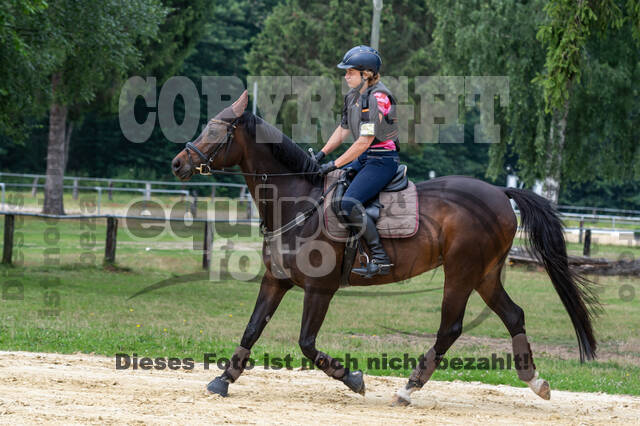 Hunter Geländetraining 10.07.2021 (Sonsbeck)