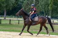 Hunter Geländetraining 10.07.2021 (Sonsbeck)