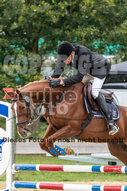 Vielseitigkeit RSV Wesel Obrighoven (26.+27.09.2020)