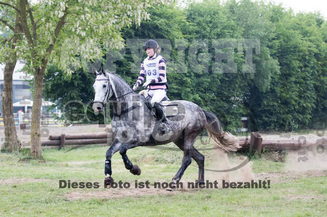 Vielseitigkeitsturnier ZRFV von Lützow Hamminkeln