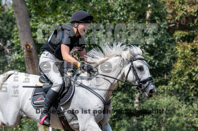 De Peelbergen (August 2020)