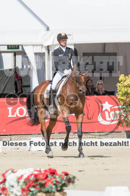 FEI European Championship Eventing 2017