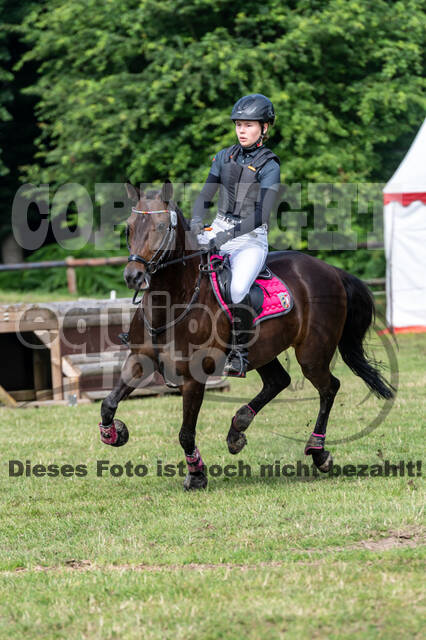 Goldene Schärpe 2021 - Ponys