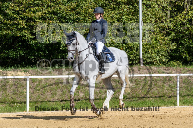 RFV Dinslaken-Hiesfeld (Herbstturnier)