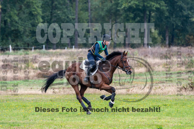 Deutsche Meisterschaft Vielseitigkeit (Luhmühlen)