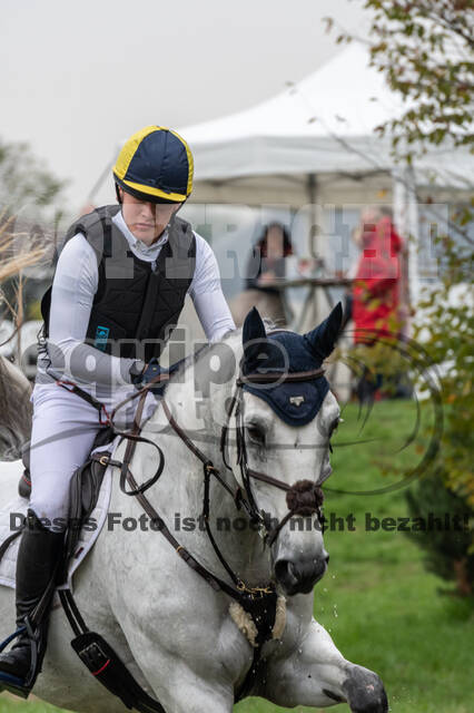 Goldene Schärpe 2020 - Pferde