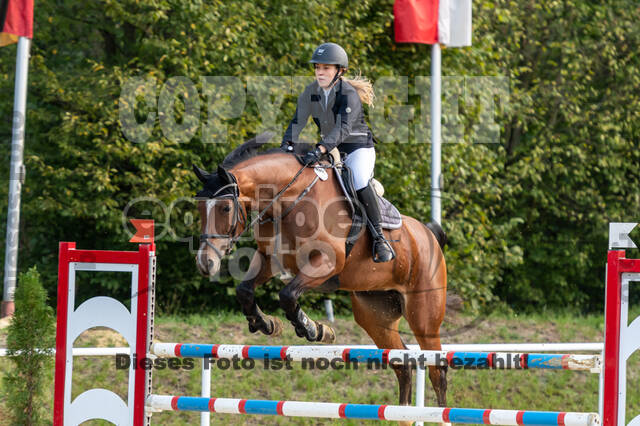 RFV Dinslaken-Hiesfeld (Herbstturnier)