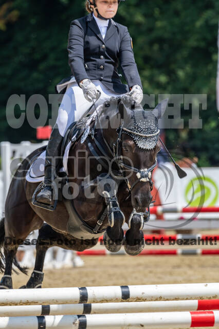 Goldene Schärpe 2021 - Ponys