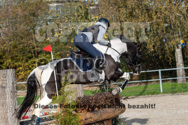 IGV Lehrgang der Sieger der Cups mit Frank Ostholt