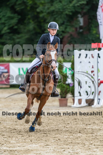 Goldene Schärpe 2021 - Ponys