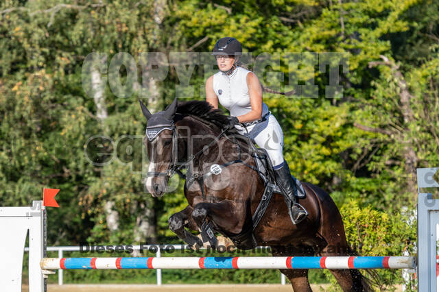 RFV Dinslaken-Hiesfeld (Herbstturnier)