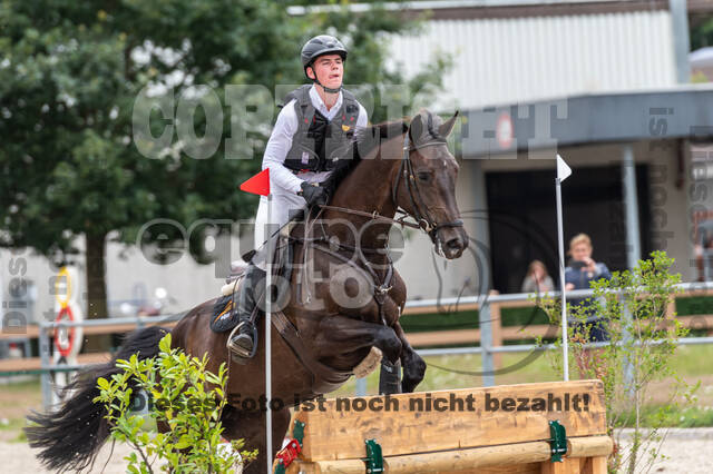 Late-Entry-Vielseitigkeit Langenfeld (06.+07.07.2020)