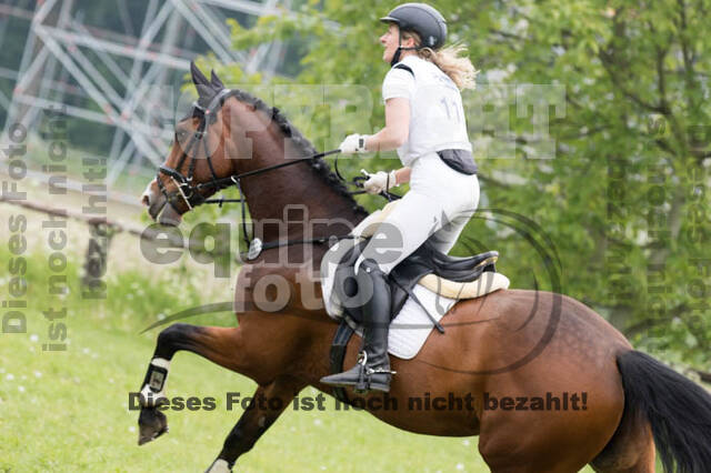 Vielseitigkeitsturnier ZRFV von Lützow Hamminkeln
